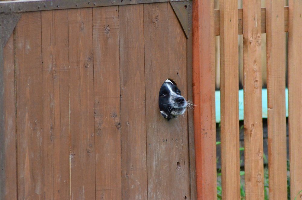 Photograph by Надежда