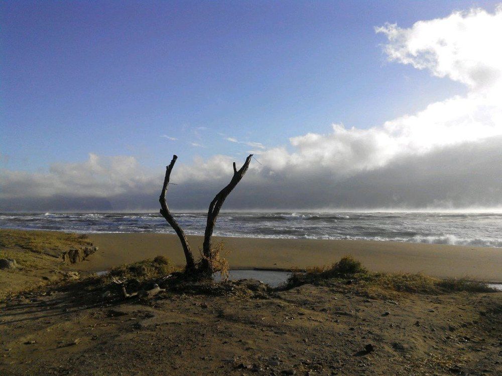 Photograph by марина