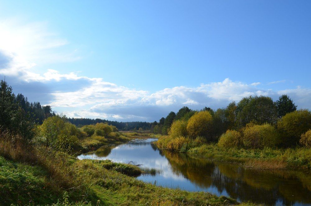 После дождя