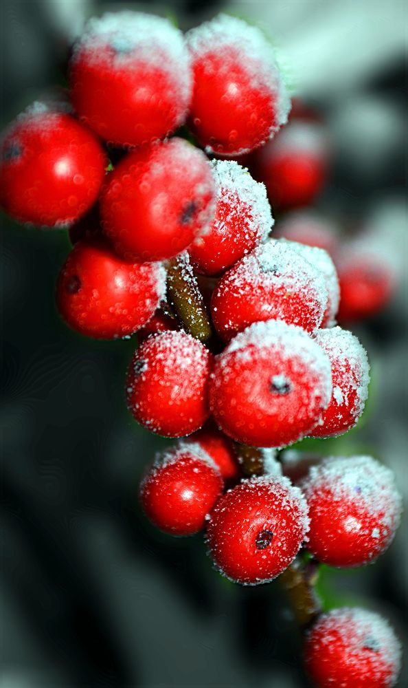 первый снег