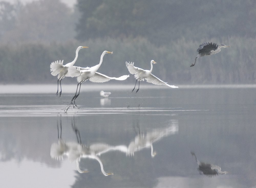 Photograph by Robert