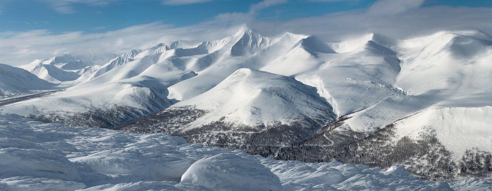 Неройка и Додо