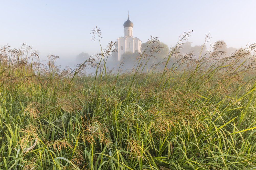 Утренние метёлки