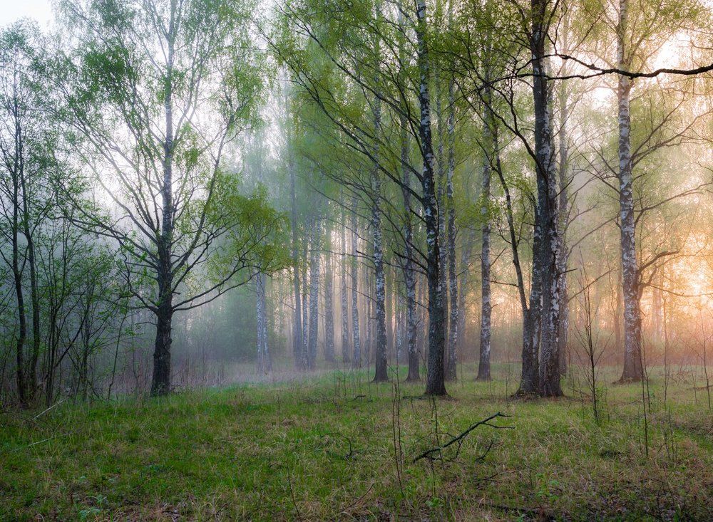 Про майскую свежесть...