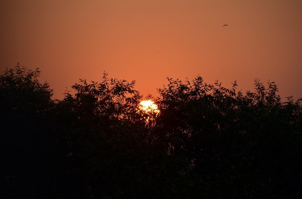 Photograph by Натали