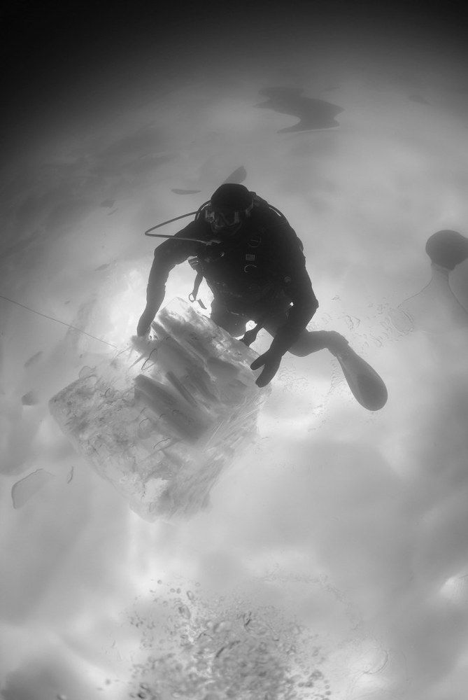 Ледяное царство