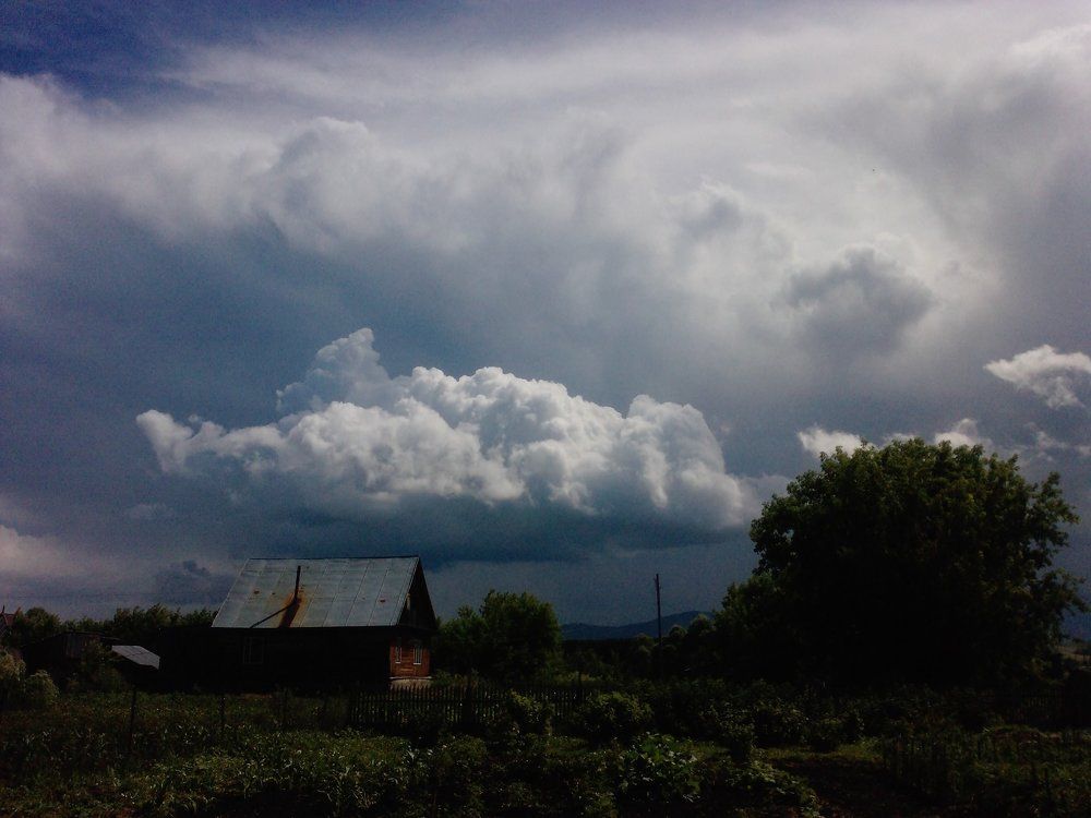 Огородные пейзажи