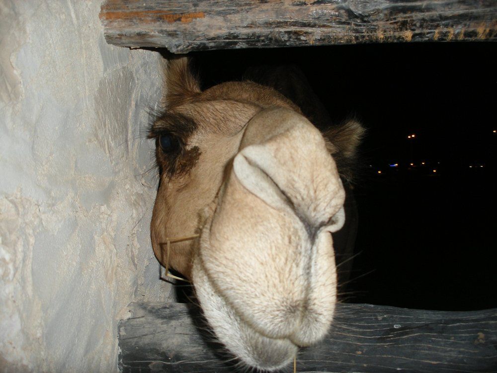 Симпатяшка