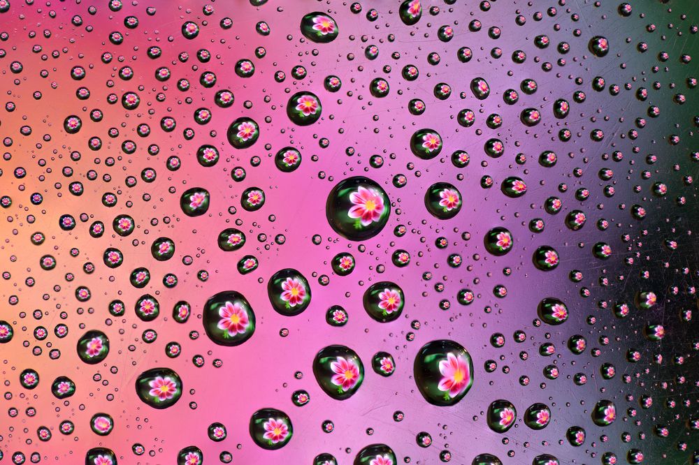 Photograph by Guanhua Yao