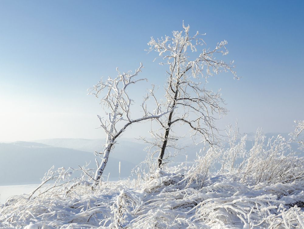 Photograph by Ирина Корпачева