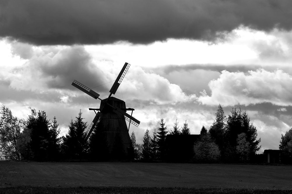 Photograph by Николай Протасеня