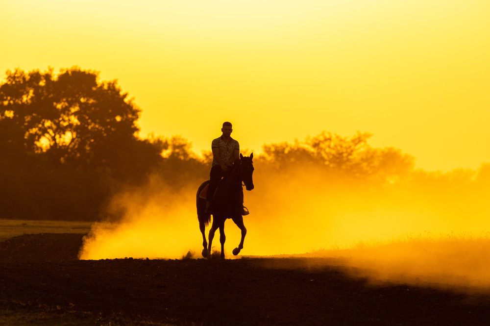 Photograph by Рамзан Давлетмирзаев
