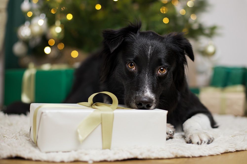 Photograph by Monika Maciejewska