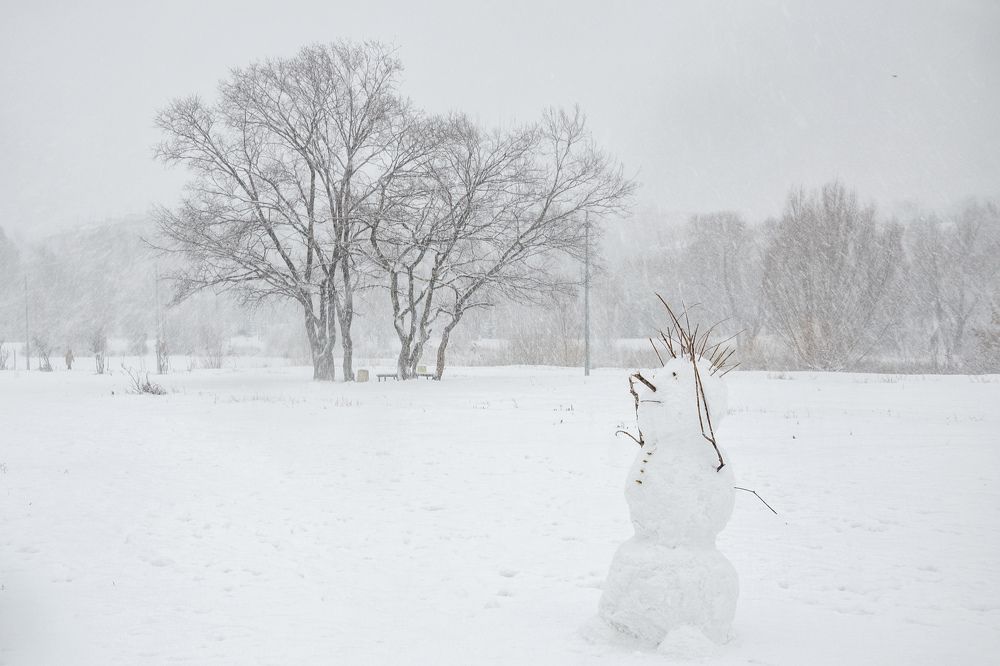 Photograph by Ирина Корпачева