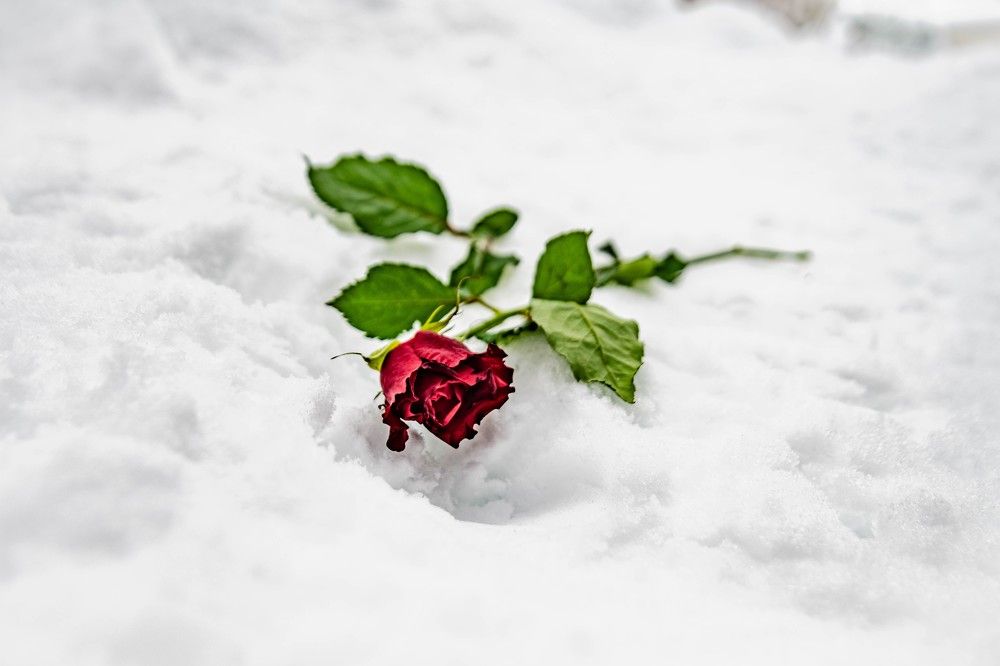 Photograph by Александра Рубан