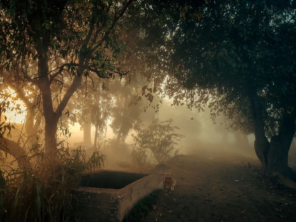 Photograph by Abdalla Khames