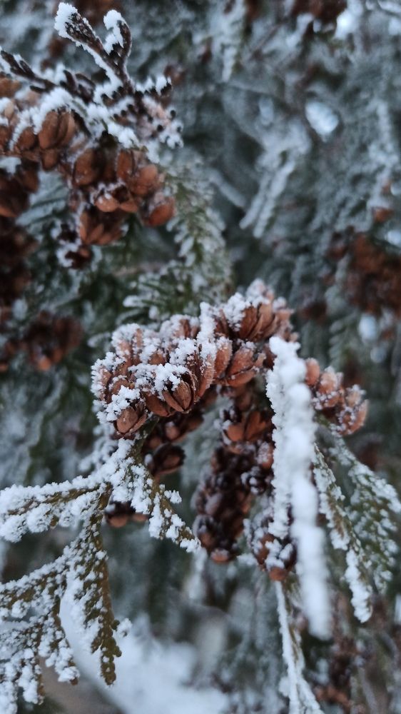 Photograph by Игорь Максимов