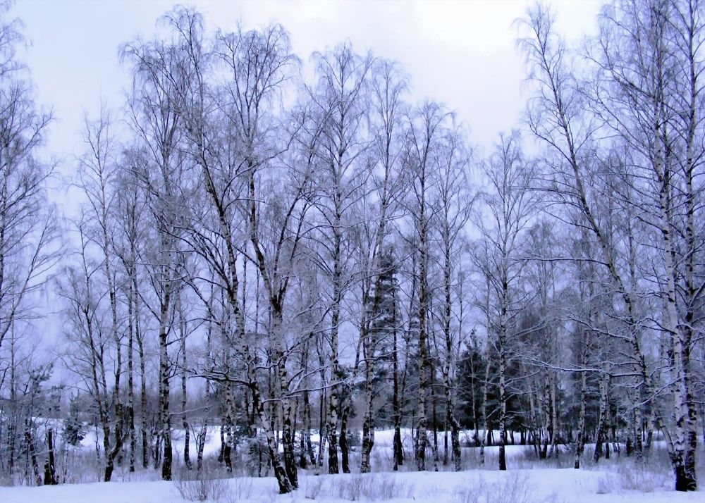 Photograph by Pjotr Alekseev