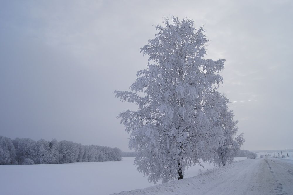 На зимнем просторе