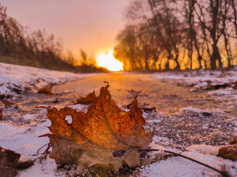 Photograph by Анастасия Семилетова