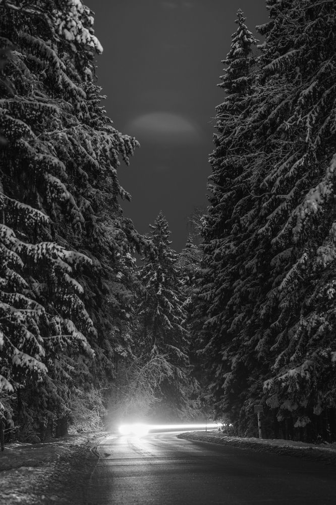 Photograph by Татьяна