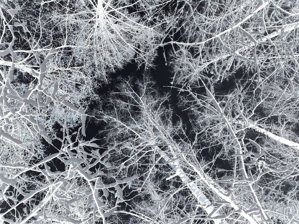 Photograph by Алеся Маклакова