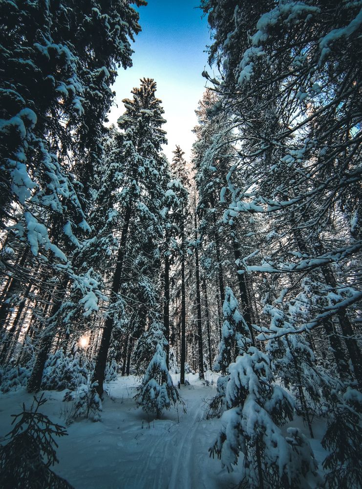 Photograph by Дмитрий Малышев