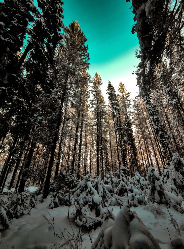 Photograph by Дмитрий Малышев