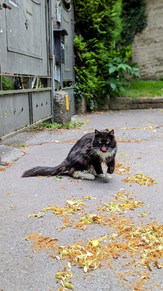 Photograph by Anastasiia