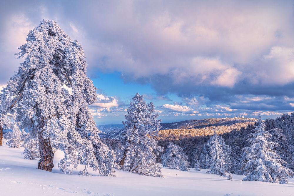 Photograph by Svetlana Tertyshnaya