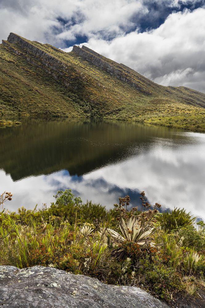 Photograph by Claudia Ruiz