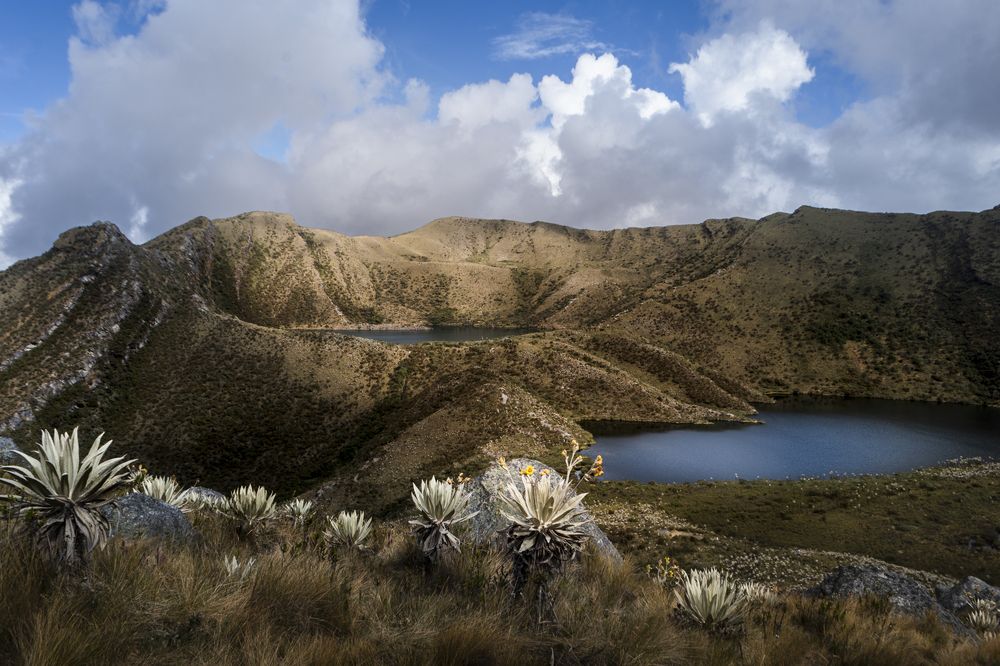 Photograph by Claudia Ruiz