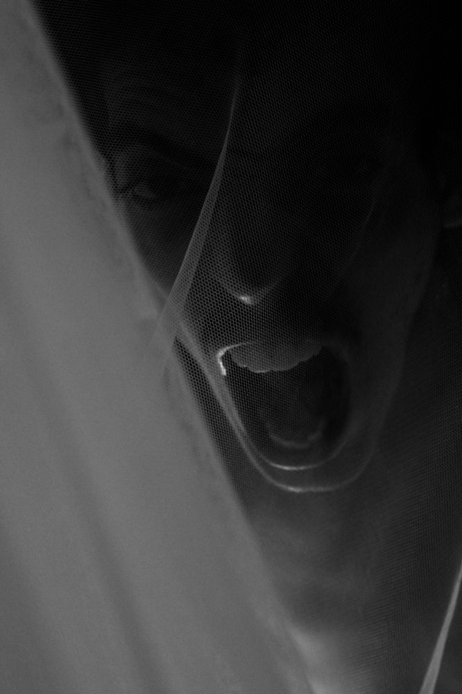 Photograph by Anita Lors