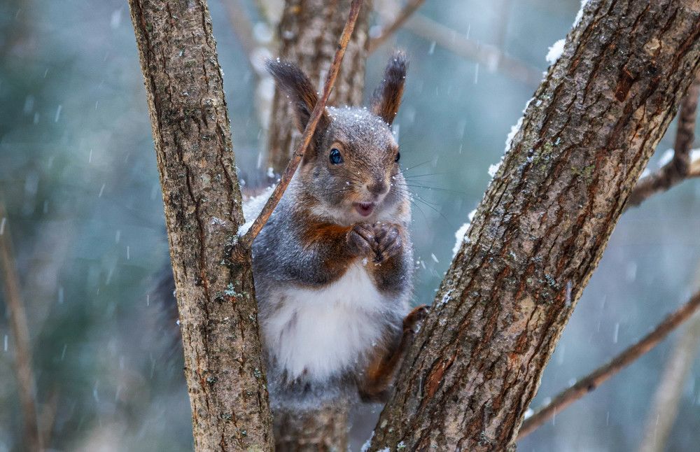 Photograph by Толян Бууулочкин