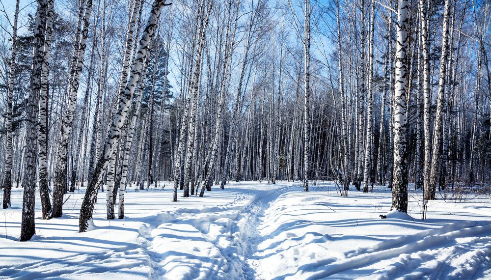 Photograph by Толян Бууулочкин