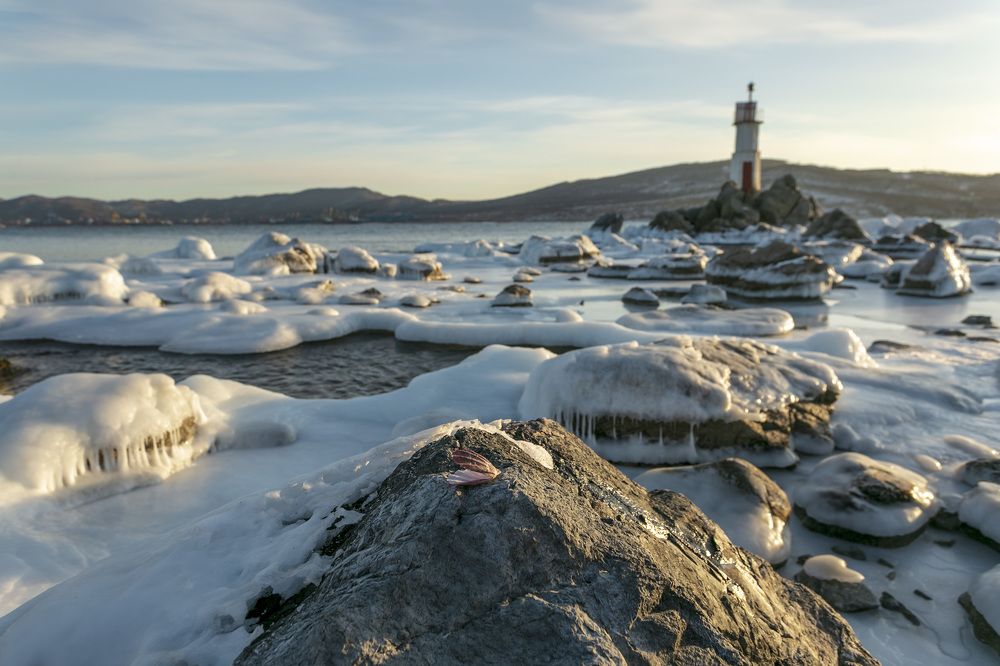 Photograph by ALEKSANDR KUZNETSOV