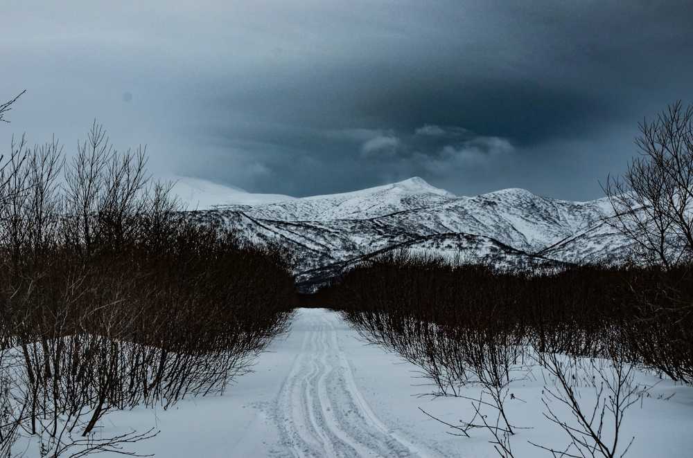 Photograph by Yrii Usoltsev