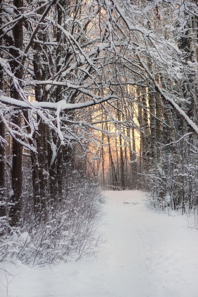 Фотография автора Тамара Караваева