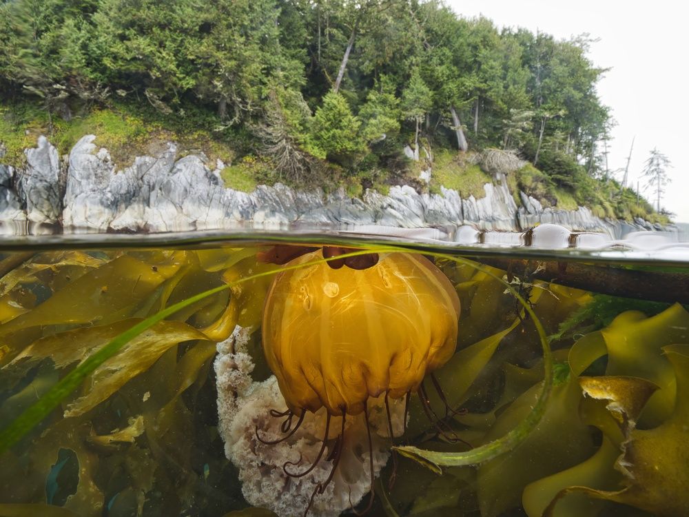 Photograph by Shuo-Wei Chang