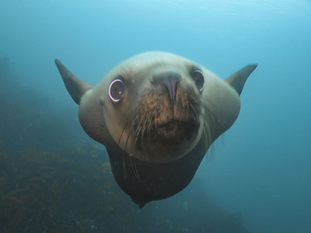 Photograph by Shuo-Wei Chang