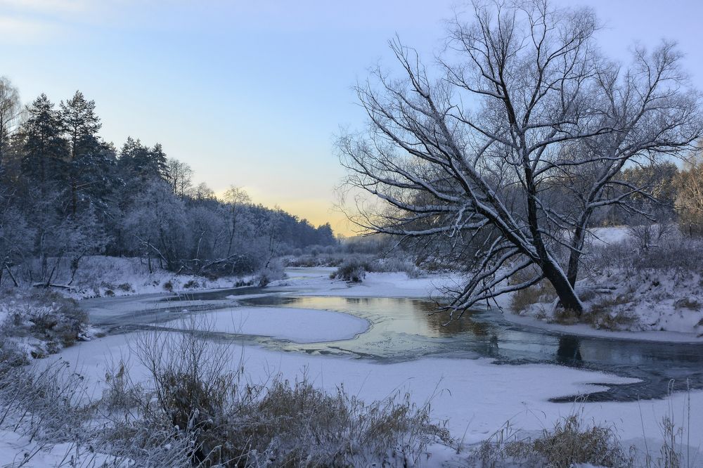 Фотография автора Геннадий Коробов