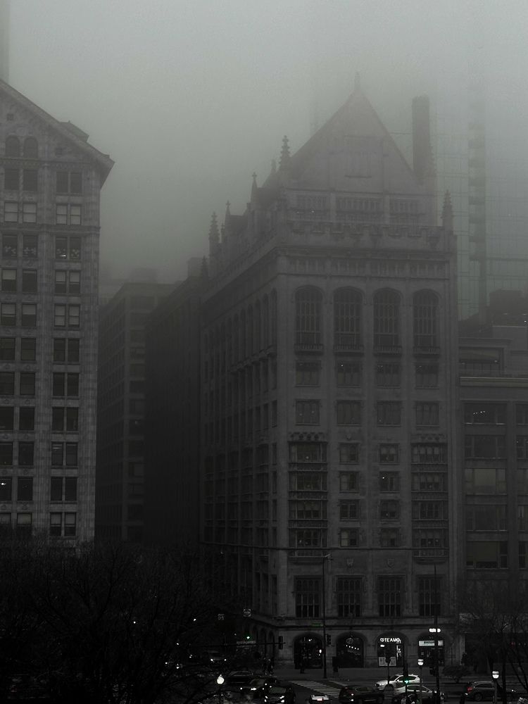 Photo #10050881