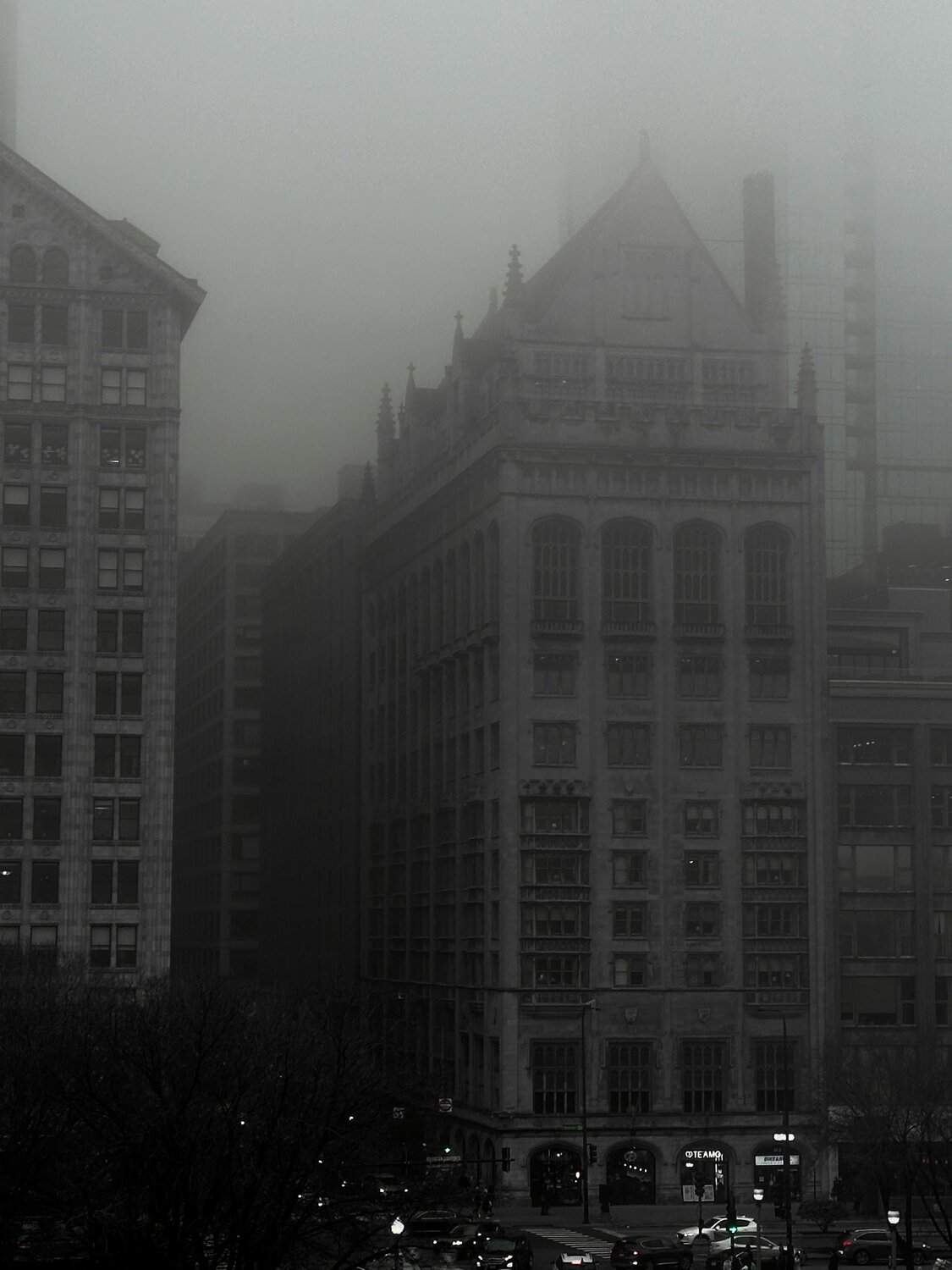 Photo #10050881