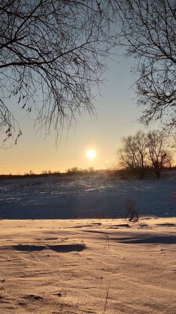 Photo #10050972