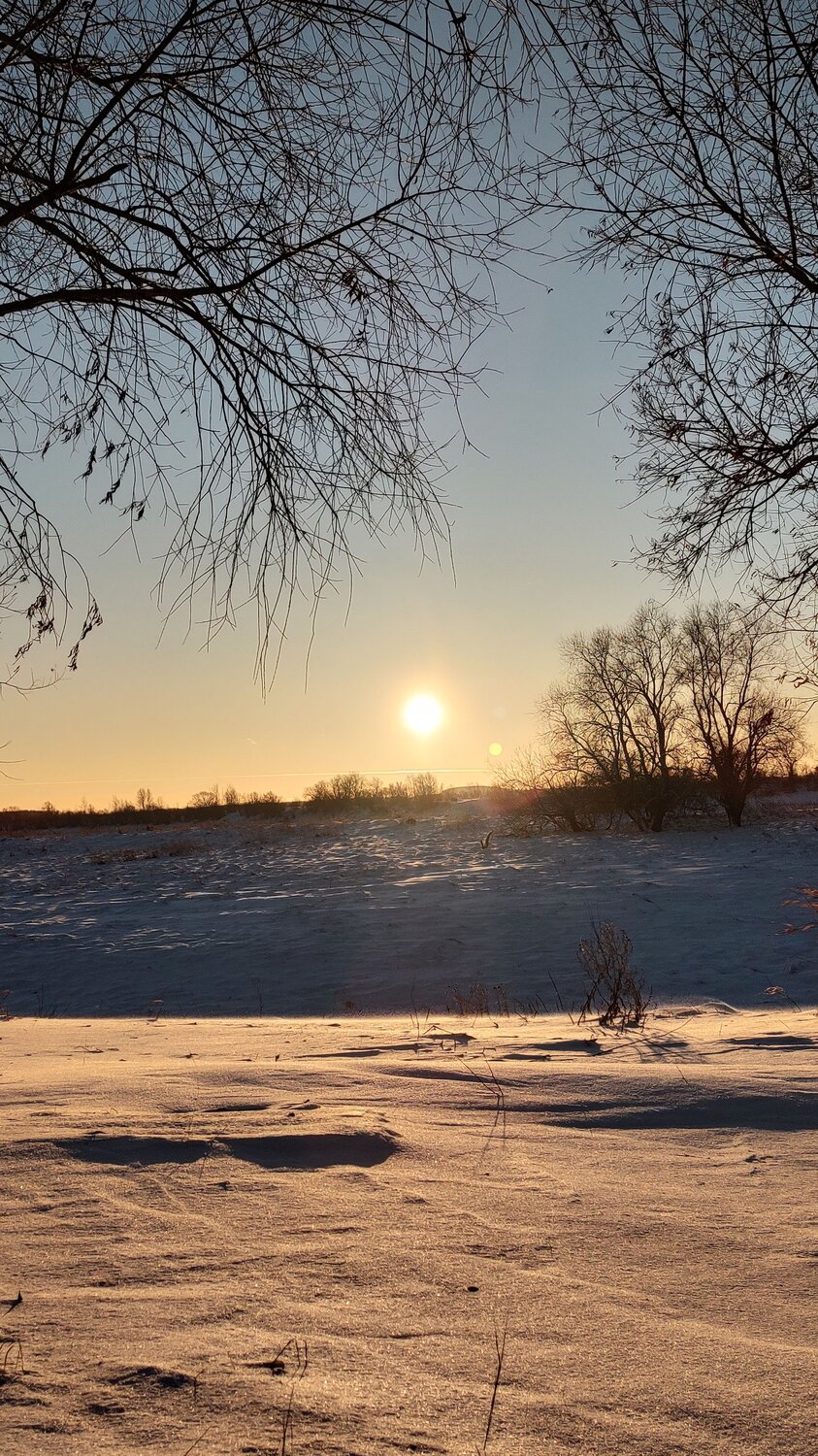 Photo #10050972