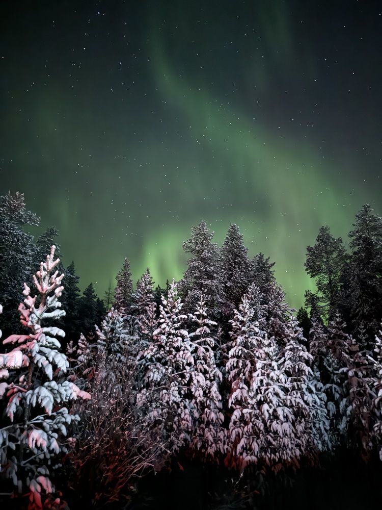 Photograph by Антон Жирнов