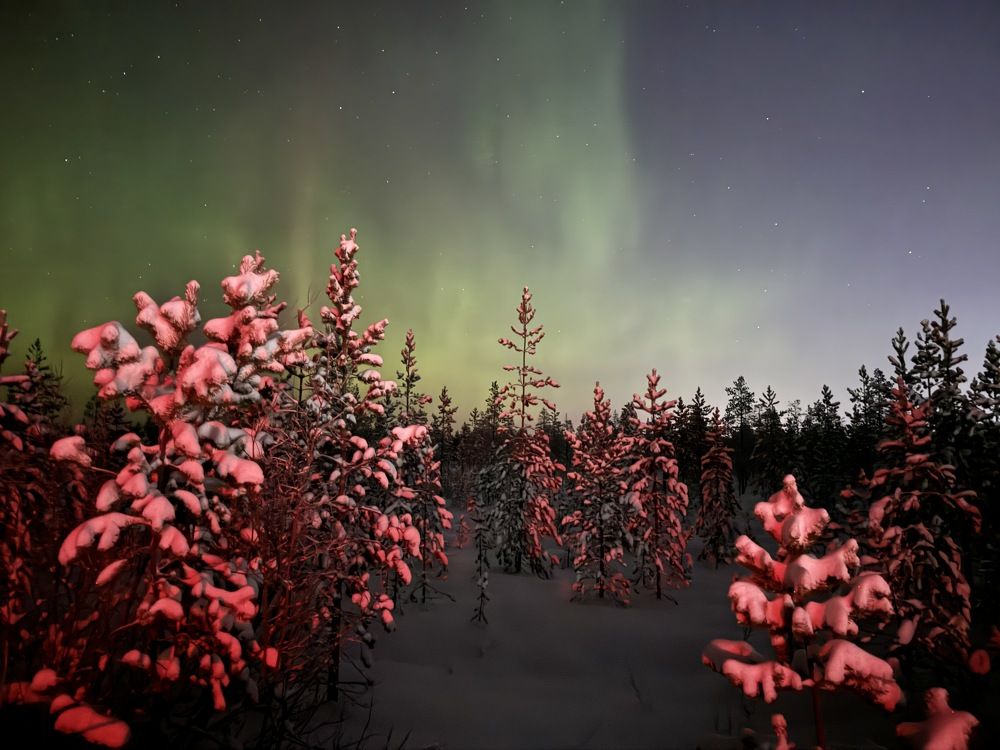 Photograph by Антон Жирнов