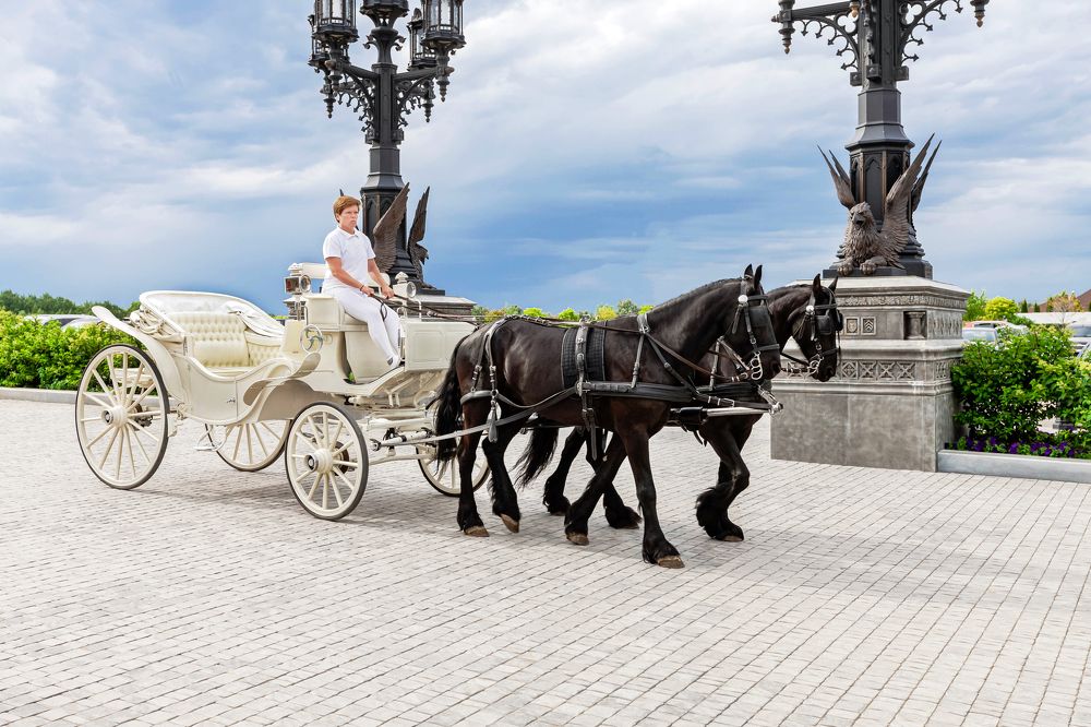 Photograph by Андрей Тишкин