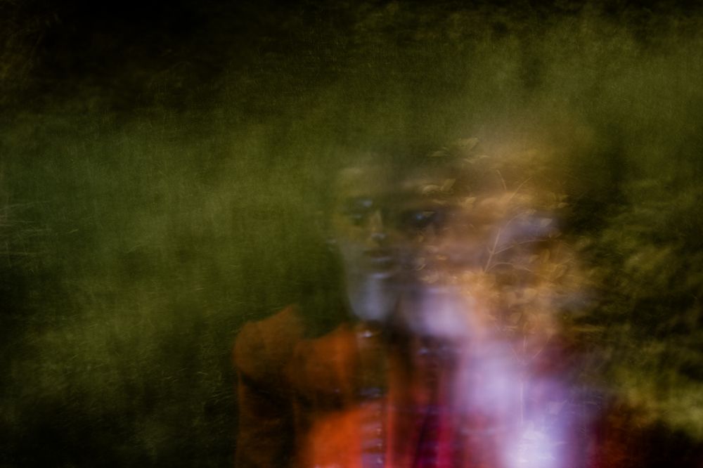 Фотография автора Miaad MOHAMMADI PANAH