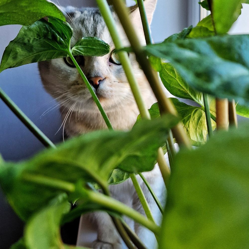 Фотография автора Елена